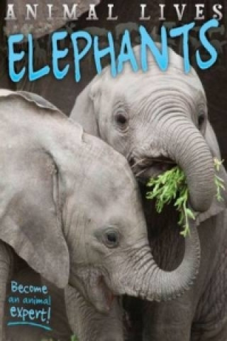 Animal Lives Elephants