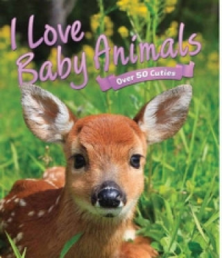 I Love: Baby Animals