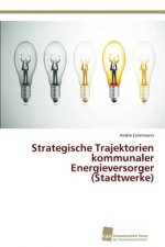 Strategische Trajektorien kommunaler Energieversorger (Stadtwerke)