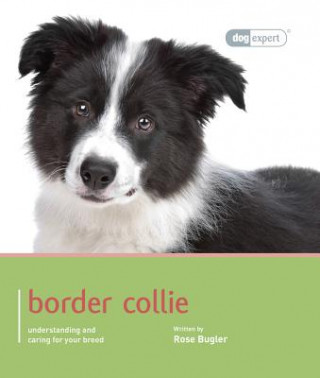 Border Collie- Dog Expert