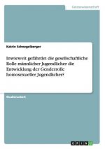 Inwieweit gefahrdet die gesellschaftliche Rolle mannlicher Jugendlicher die Entwicklung der Genderrolle homosexueller Jugendlicher?