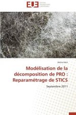 Mod lisation de la D composition de Pro