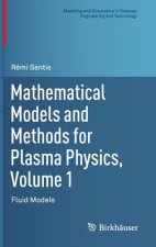 Mathematical Models and Methods for Plasma Physics, Volume 1