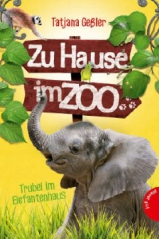 Zu Hause im Zoo - Trubel im Elefantenhaus