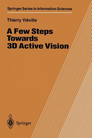 Few Steps Towards 3D Active Vision