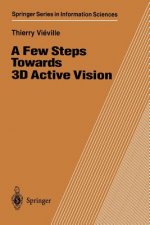 Few Steps Towards 3D Active Vision