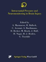 Intracranial Pressure and Neuromonitoring in Brain Injury