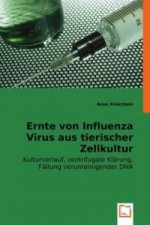 Ernte von Influenza Virus aus tierischer Zellkultur