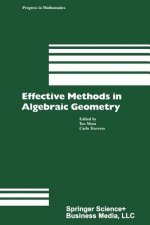 Effective Methods in Algebraic Geometry, 1