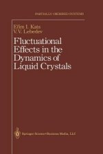 Fluctuational Effects in the Dynamics of Liquid Crystals, 1