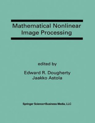 Mathematical Nonlinear Image Processing, 1