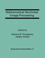 Mathematical Nonlinear Image Processing, 1