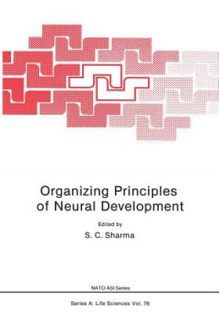 Organizing Principles of Neural Development