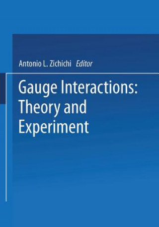 Gauge Interactions