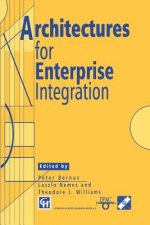 Architectures for Enterprise Integration, 1