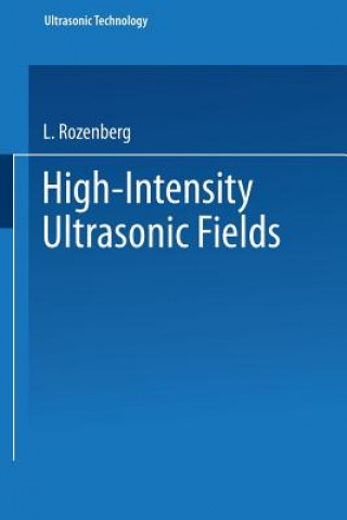 High-Intensity Ultrasonic Fields