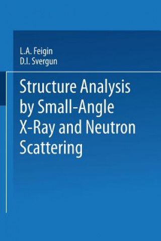 Structure Analysis by Small-Angle X-Ray and Neutron Scattering