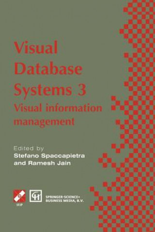 Visual Database Systems 3, 1