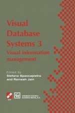 Visual Database Systems 3, 1