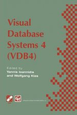 Visual Database Systems 4, 1