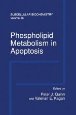 Phospholipid Metabolism in Apoptosis