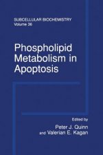 Phospholipid Metabolism in Apoptosis