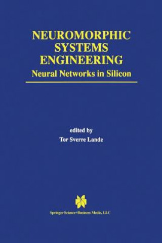 Neuromorphic Systems Engineering