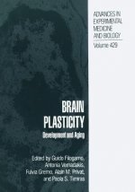 Brain Plasticity