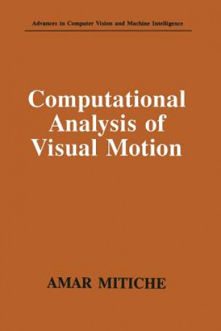 Computational Analysis of Visual Motion