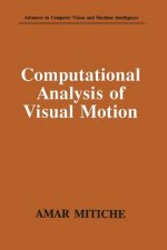Computational Analysis of Visual Motion