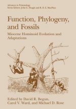 Function, Phylogeny, and Fossils, 1