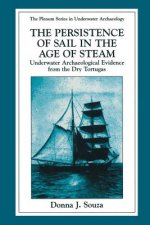 Persistence of Sail in the Age of Steam