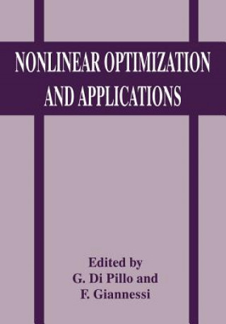 Nonlinear Optimization and Applications, 1