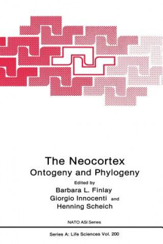The Neocortex, 1