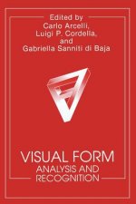 Visual Form, 1