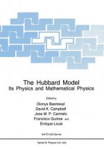 The Hubbard Model, 1