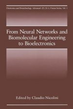 From Neural Networks and Biomolecular Engineering to Bioelectronics