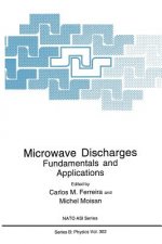 Microwave Discharges