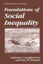 Foundations of Social Inequality