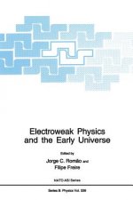 Electroweak Physics and the Early Universe, 1