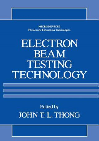 Electron Beam Testing Technology