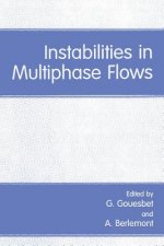 Instabilities in Multiphase Flows