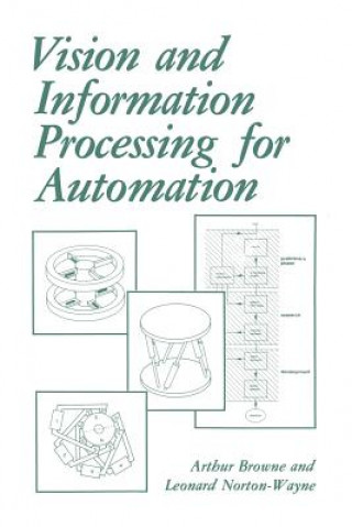 Vision and Information Processing for Automation, 1