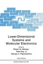 Lower-Dimensional Systems and Molecular Electronics
