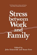 Stress Between Work and Family