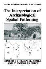 Interpretation of Archaeological Spatial Patterning