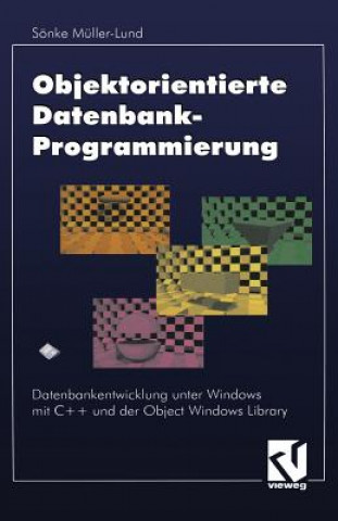 Objektorientierte Datenbankprogrammierung, 1
