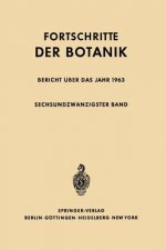 Bericht  ber Das Jahr 1963