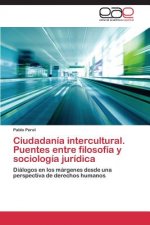 Ciudadania intercultural. Puentes entre filosofia y sociologia juridica