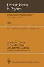 Molecular Clouds in the Milky Way and External Galaxies